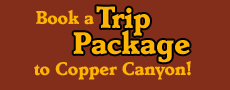 copper canyon adventure tours
