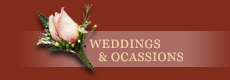 weddings in mexico